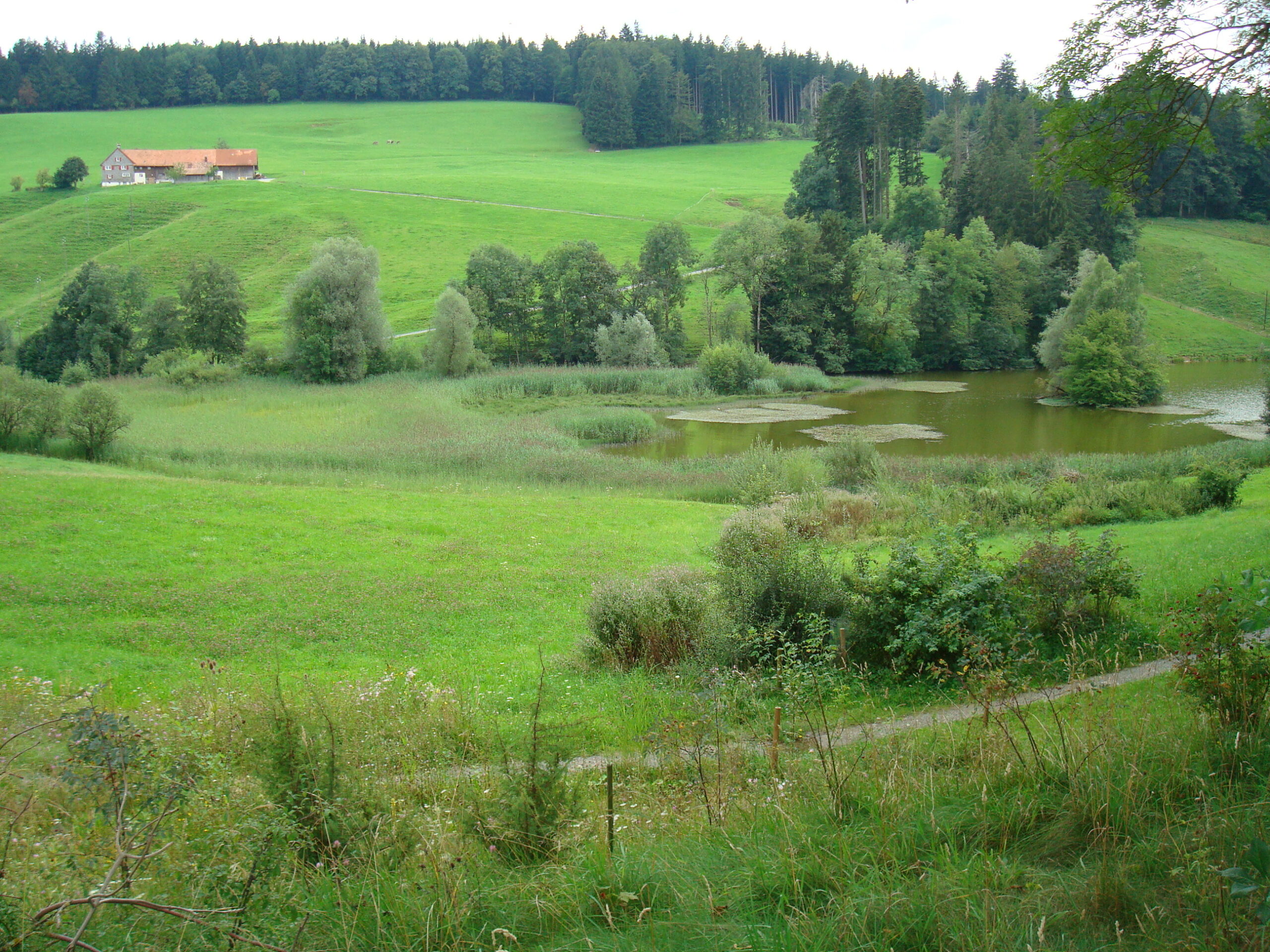 Landschaftsgestaltung – Ökonzept